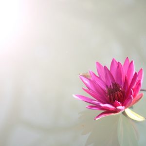 강남역 여대생 살인사건